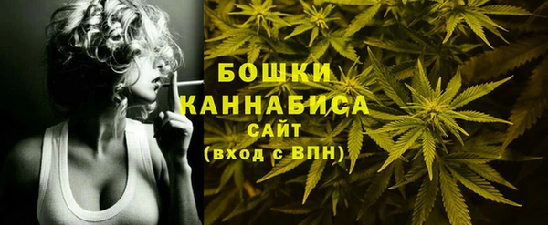 первитин Богданович