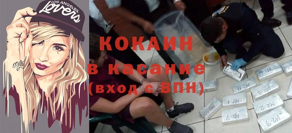 твердый Богородск