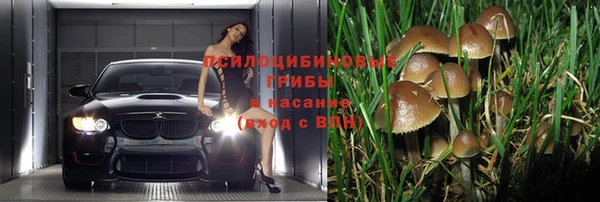 твердый Богородск