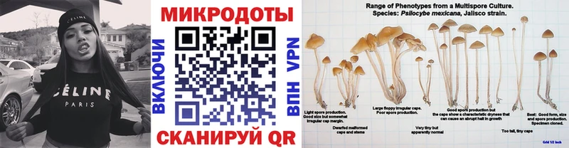 мега как войти Свободный Псилоцибиновые грибы Psilocybine cubensis