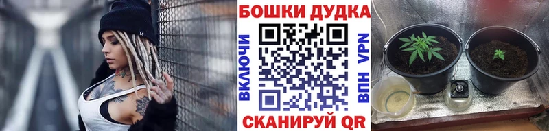 Канабис Amnesia  ссылка на мегу   Свободный  закладки 